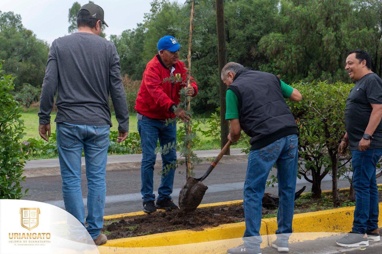 Mega campaña de  reforestación Boulevard Juárez. 