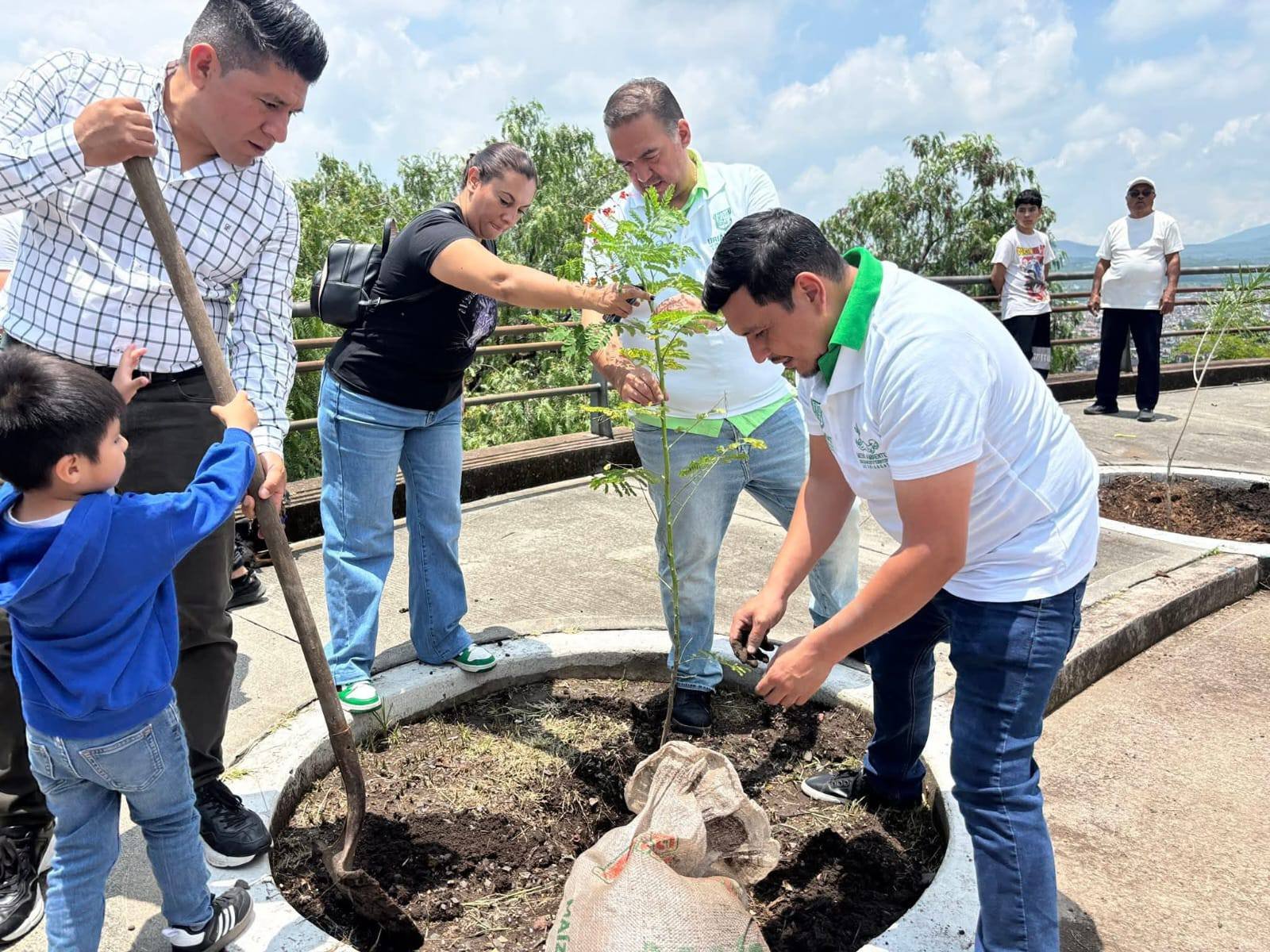 "Día Internacional del árbol"