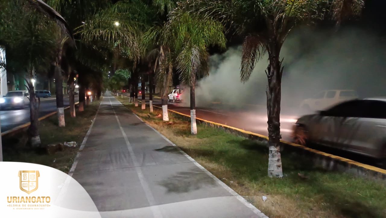 Primer etapa de fumigación
