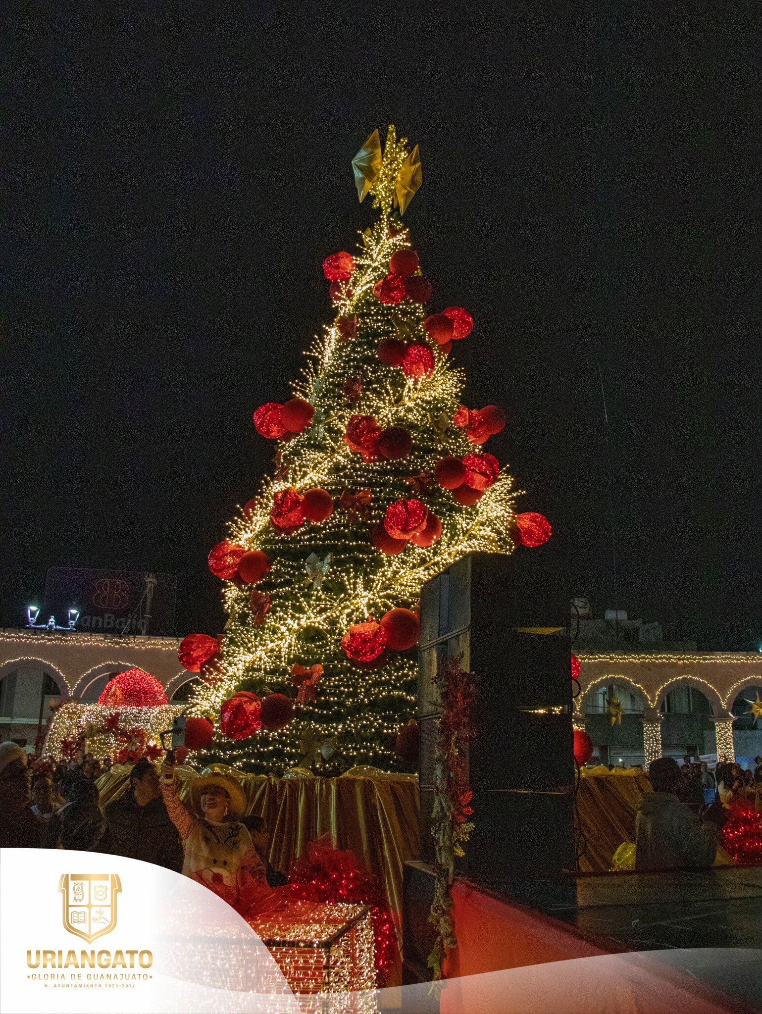 Encendido del Árbol Navideño 2024