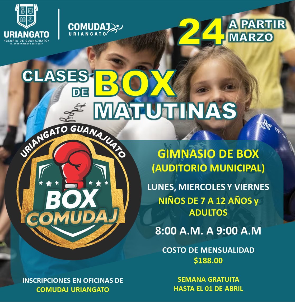 Clases de Box Matutinas