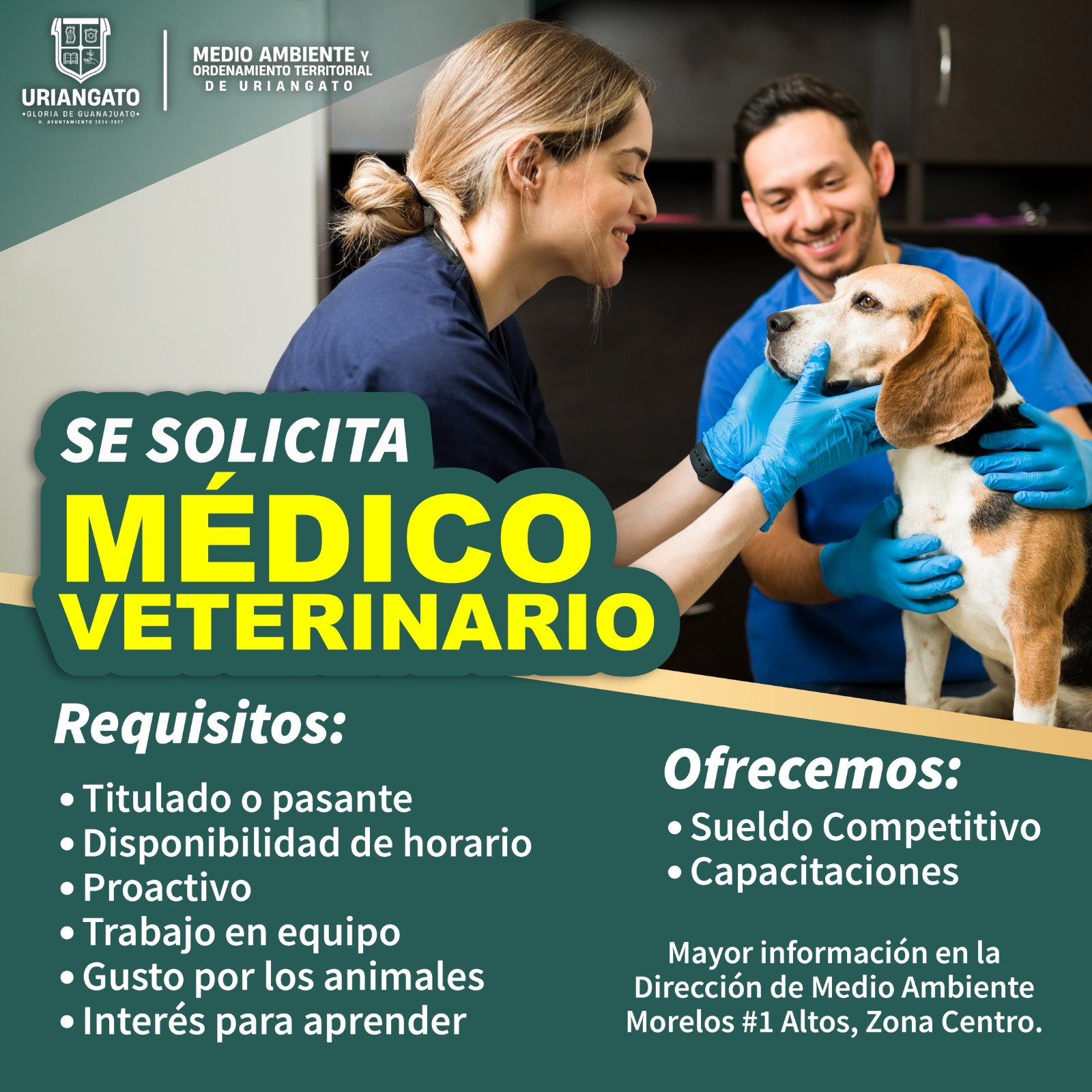 Medio Ambiente solicita veterinario